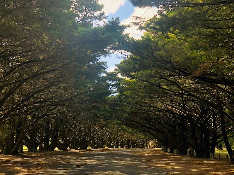 Victoria Park - Image 2