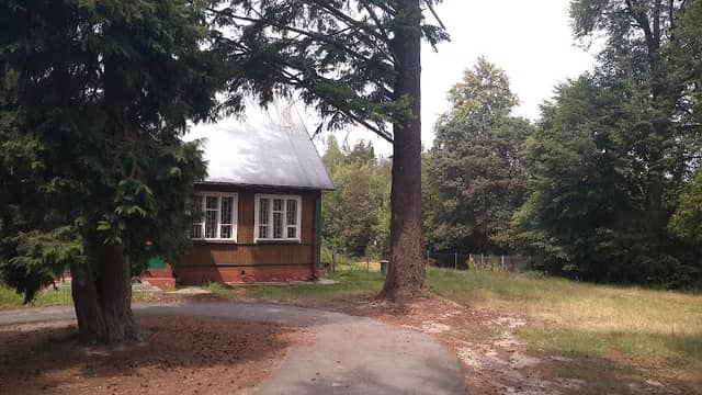 Leśnictwo Krynki - Image 1