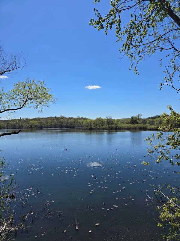 Normandale Lake Waterfall - Image 2