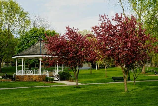 Foster Park - Image 1