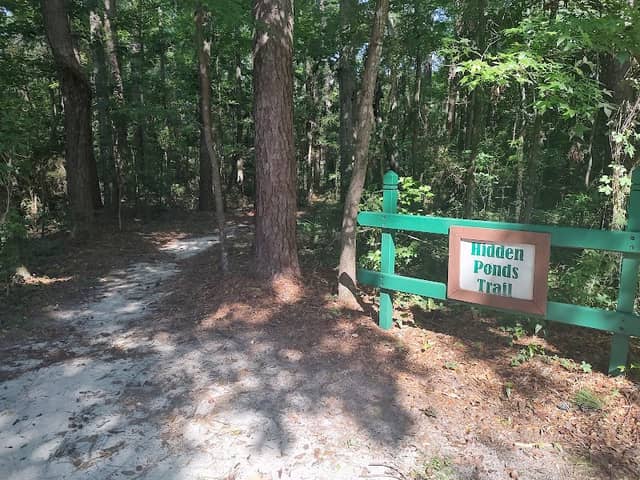 Hidden ponds trail - Image 2