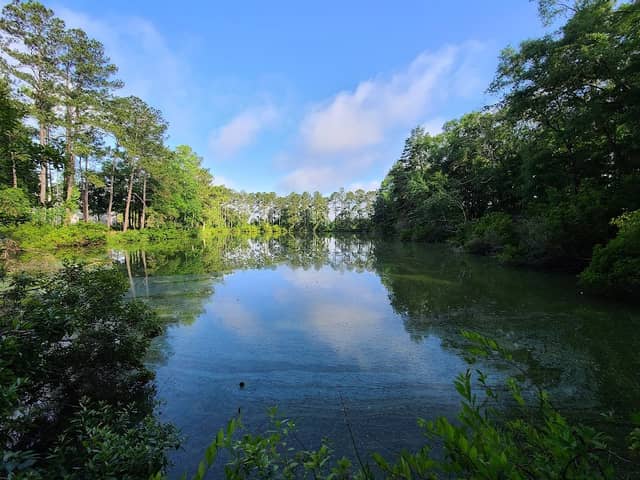 Hidden ponds trail - Image 1
