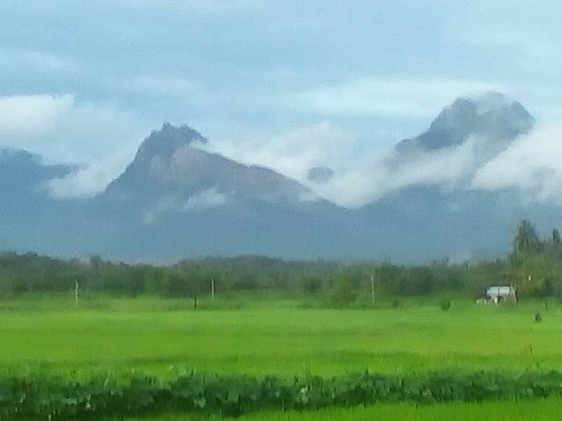 Kottekkad Paddy View Point - Image 1