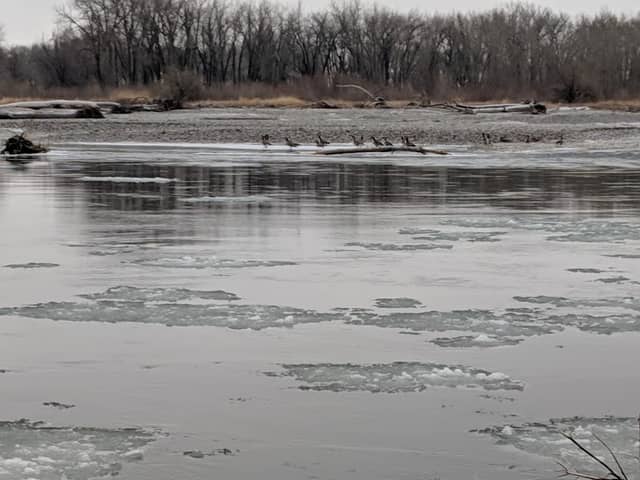 Arrow Island Park - Image 1