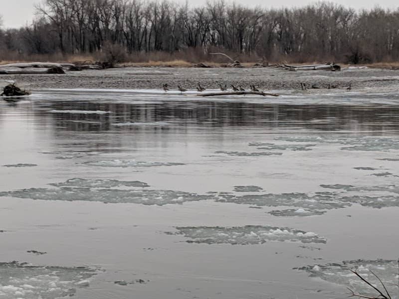Arrow Island Park - Image 1