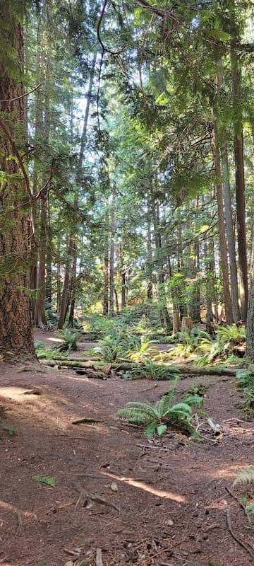 Catherine Creek Park - Image 2