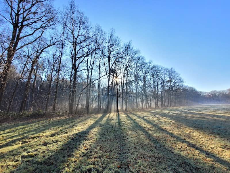 NSW Landgoed La Forêt - Image 2