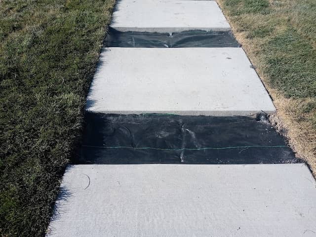 Someone Else's Park - Image 1