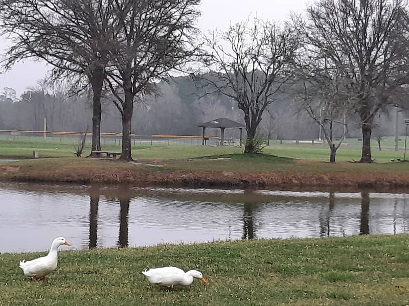 Livingston Parks & Recreation - Image 3