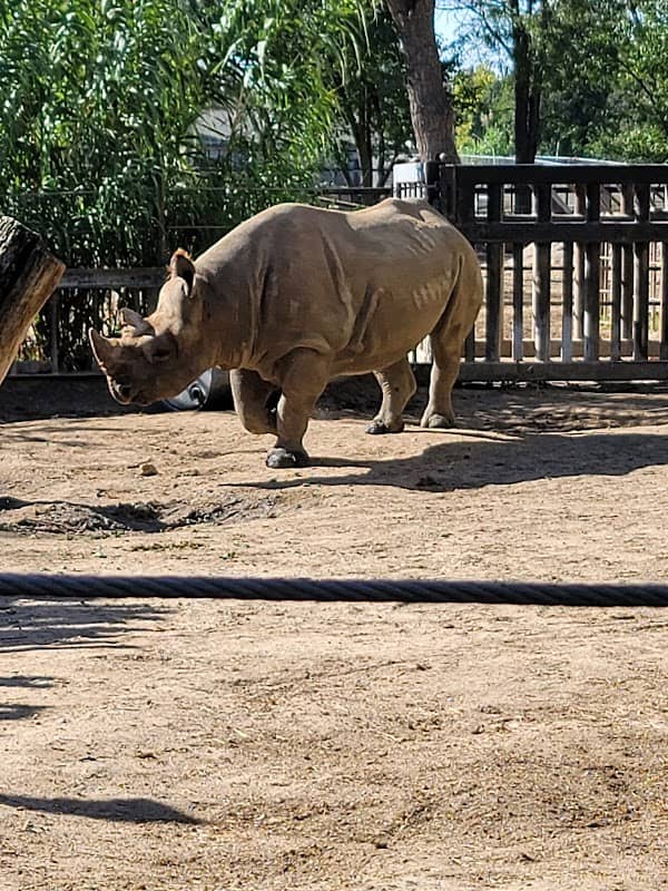 Lee Richardson Zoo - Image 2