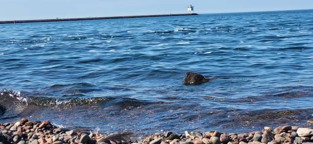 Two Harbors Depot-Duluth Harbor Cam - Image 3