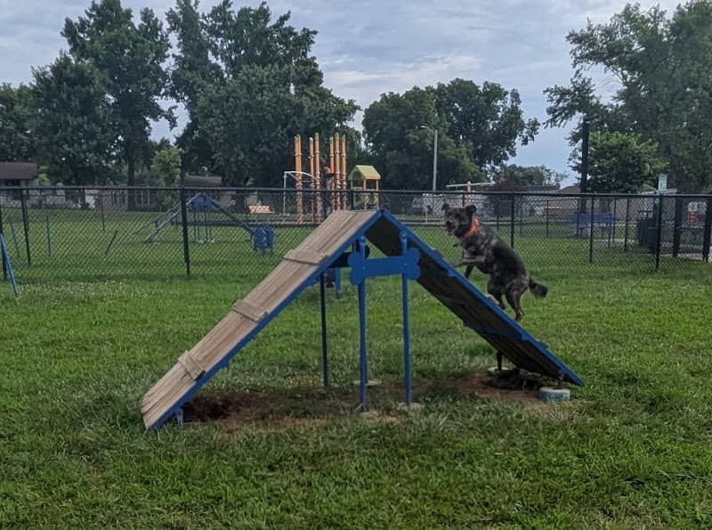Brightwell Dog Park - Image 1