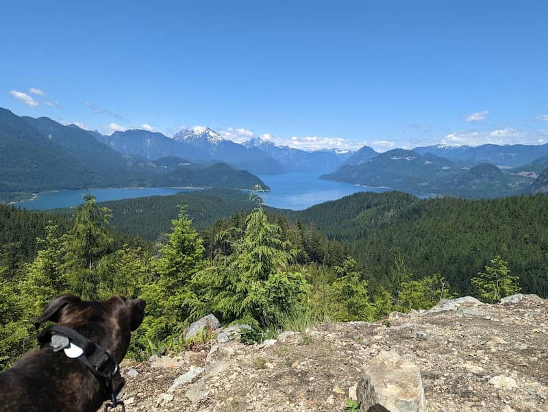Hunter Lookout - Image 2