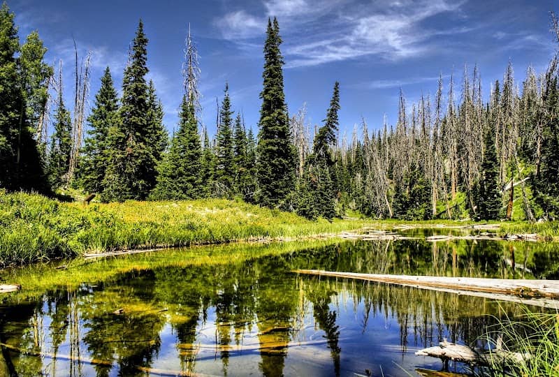 Alpine Pond Loop Trail - Image 3