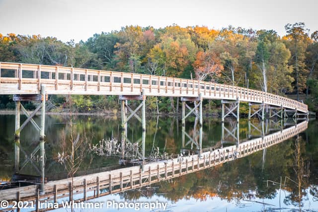 Smallwood State Park - Image 1