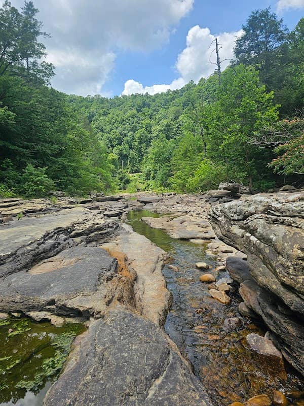 Piney River RMA Trailhead of the Cumberland Trail - Image 2