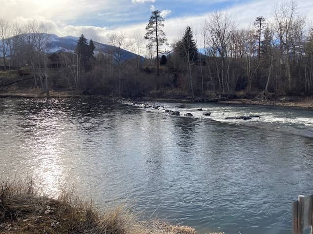 Steve Powell Park - Image 1