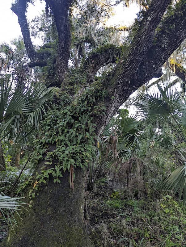 Kissimmee River Public Use Area - Pool D - Image 2