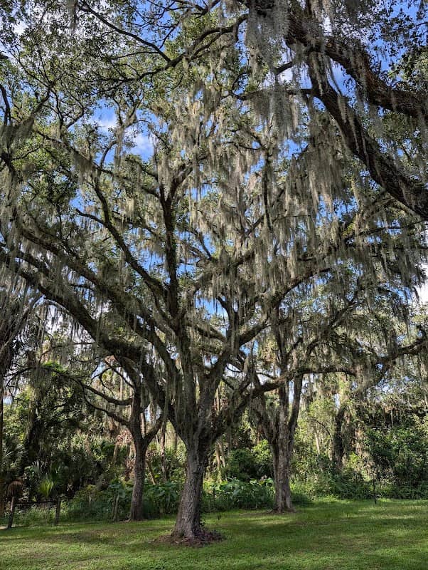 Kissimmee River Public Use Area - Pool D - Image 3