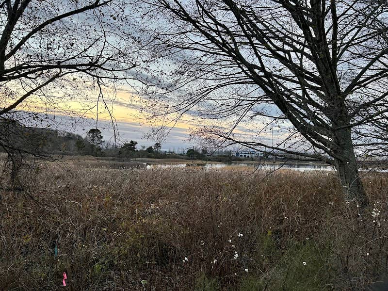 Edmonds Marsh - Image 1