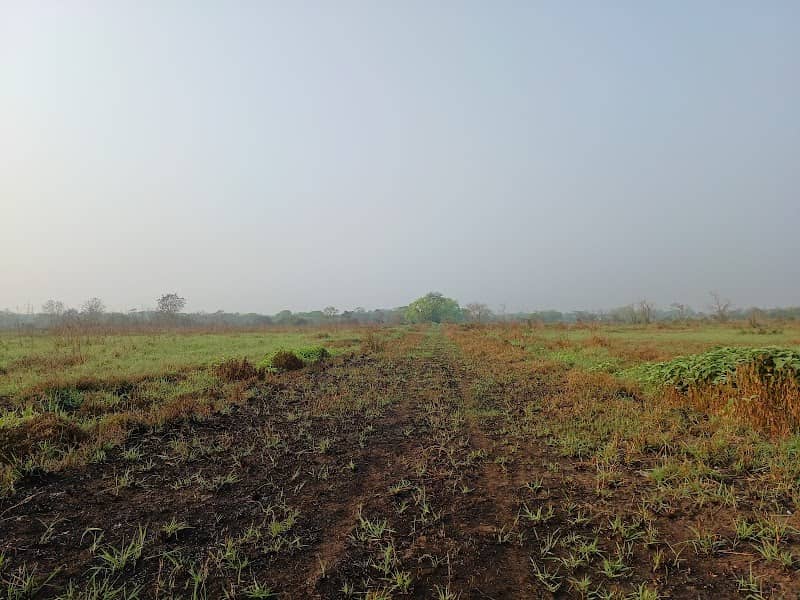Haringhata Birding Zone - Image 1