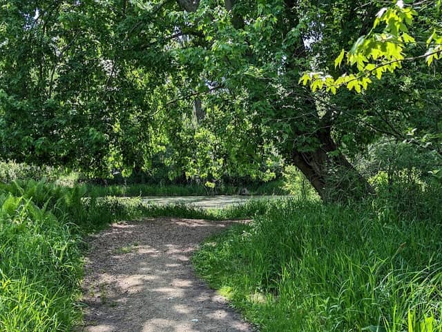 Bubolz Nature Preserve - Image 2