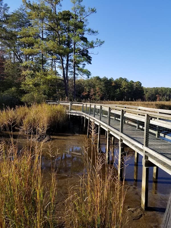 Bush Mill Stream Natural Area Preserve - Image 2