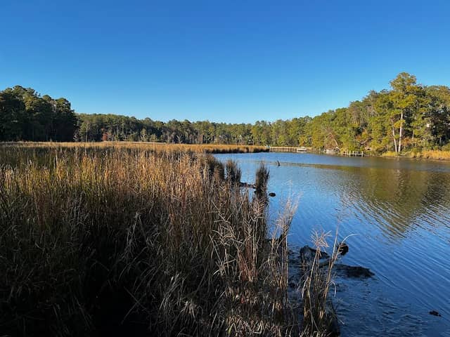 Bush Mill Stream Natural Area Preserve - Image 1