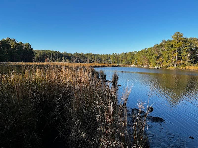 Bush Mill Stream Natural Area Preserve - Image 1