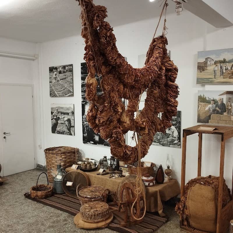 Kavala Municipality Tobacco Museum - Image 2