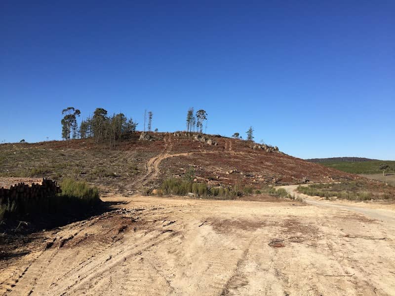 Mullions Range State Forest - Image 2