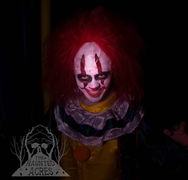 The Haunted Acres - Image 2