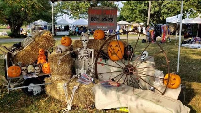 Fright Forest - Image 1