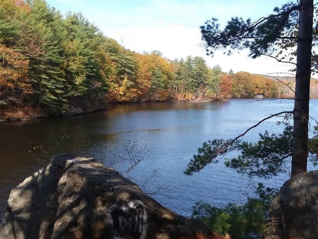 Sunnyside Park - Image 2