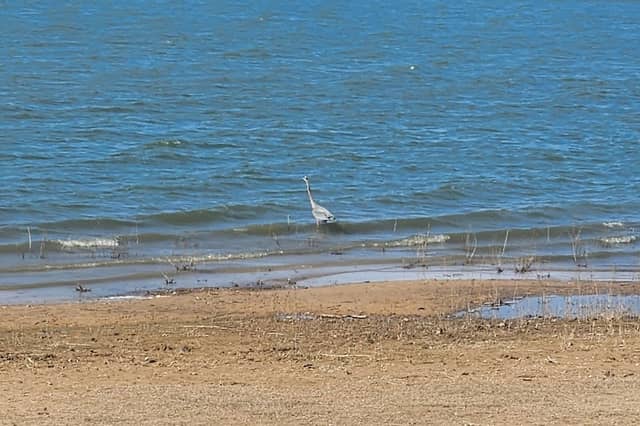 Mustang Cove Overlook Park - Image 2