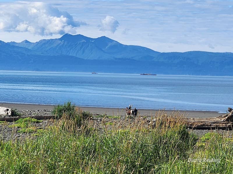 Bishop’s Beach - Image 2