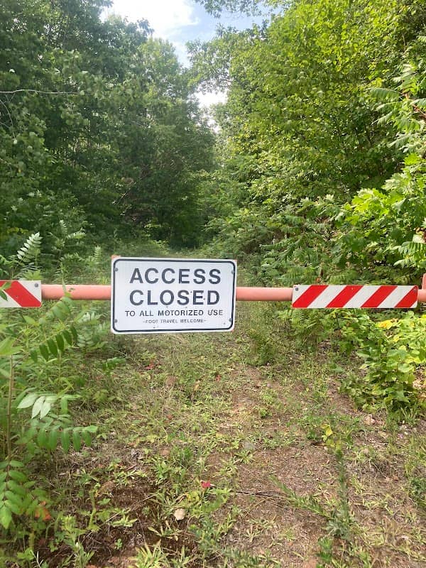 Erickson Creek Forest & Wetlands State Natural Area - Image 2