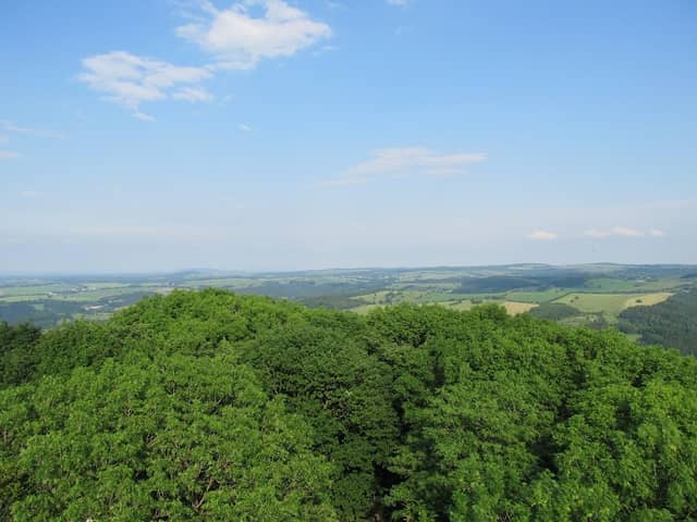 Aussichtsturm Geisingberg - Image 1