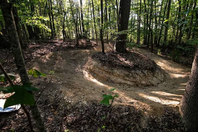 Piney Creek Preserve (Stanaford Grove Trailhead) - Image 1