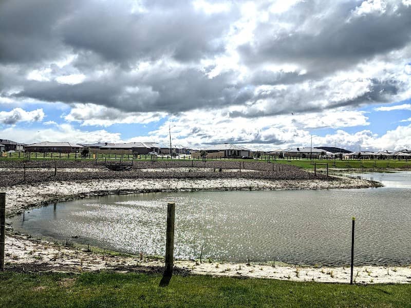 Bells Avenue Wetlands - Image 1