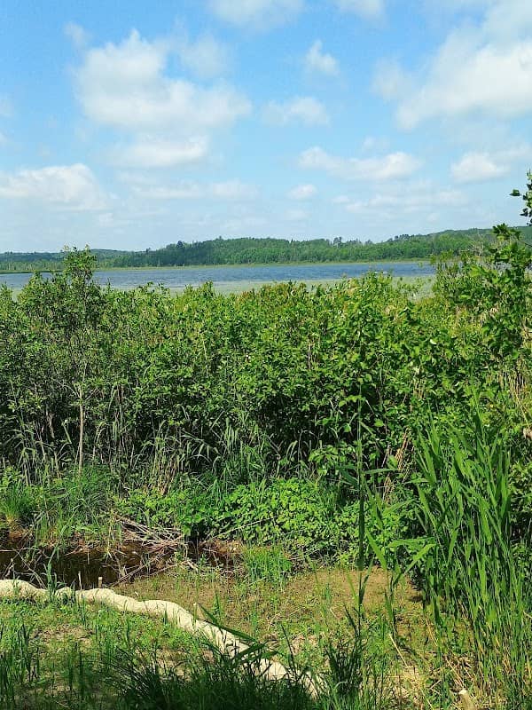 Trail Bench - Image 1