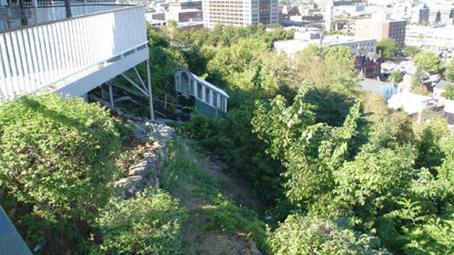 Fenelon Place Elevator Company - Image 1