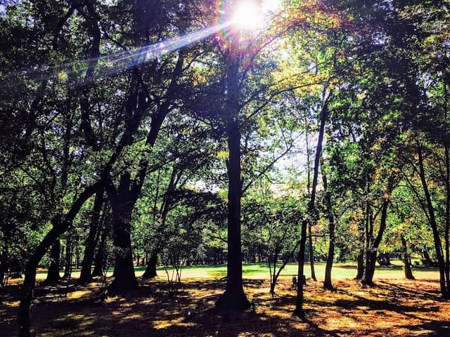 Brandis Park - Image 1