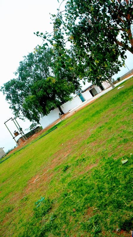 Park - Mitha peer Mandir - Image 2