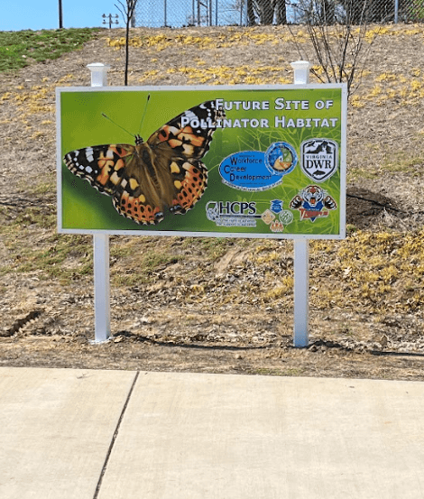 Pollinator Habitat - Image 1