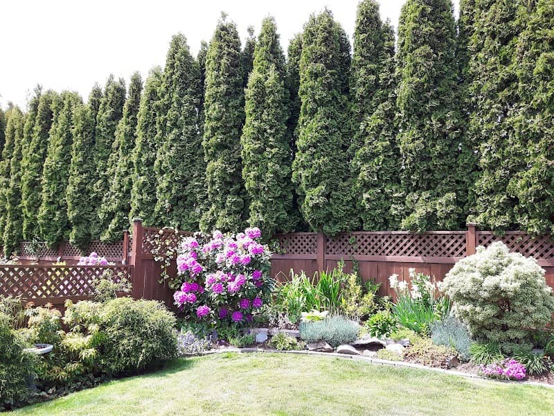 Applegreen Park - Image 2