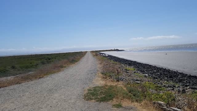 Hayward Regional Shoreline - Image 3