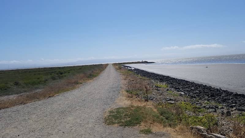 Hayward Regional Shoreline - Image 3