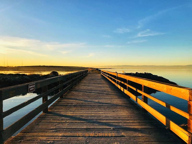 Hayward Regional Shoreline - Image 1