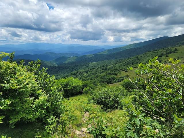 Roan Mountain State Park - Image 1